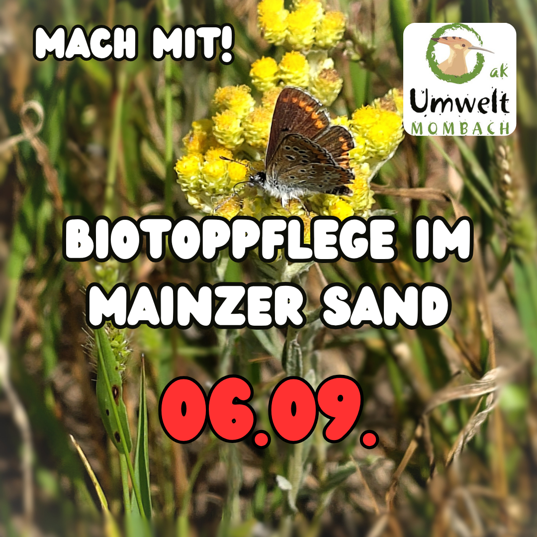 Sand_06_09