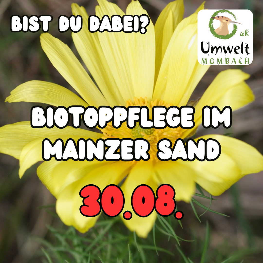 Sand_30_08