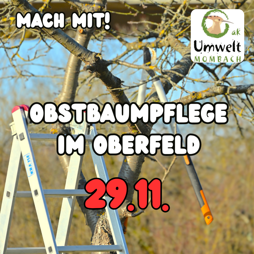 Sharepick_Obstbaum